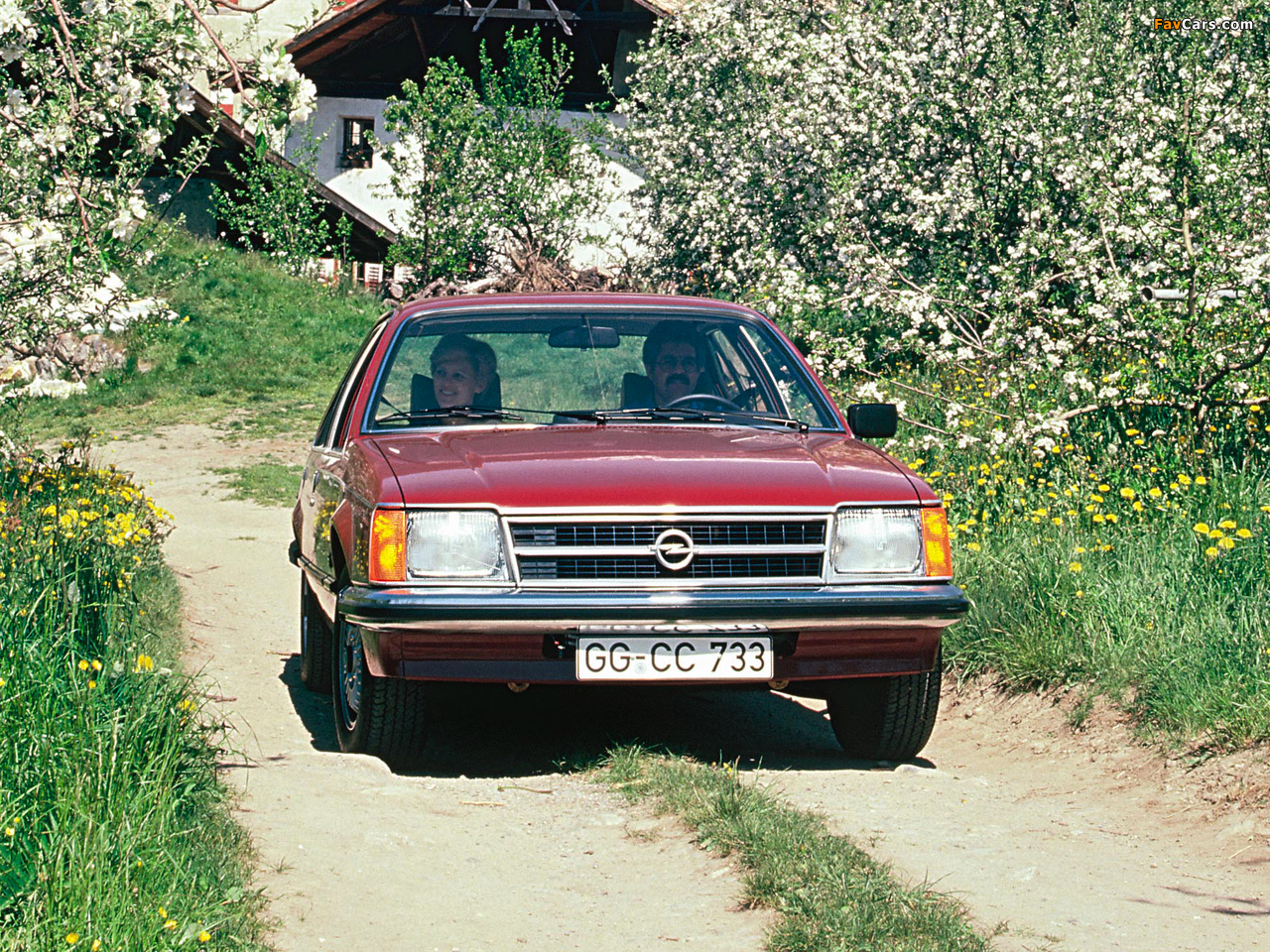 Opel Commodore (C) 1978–82 images (1280 x 960)
