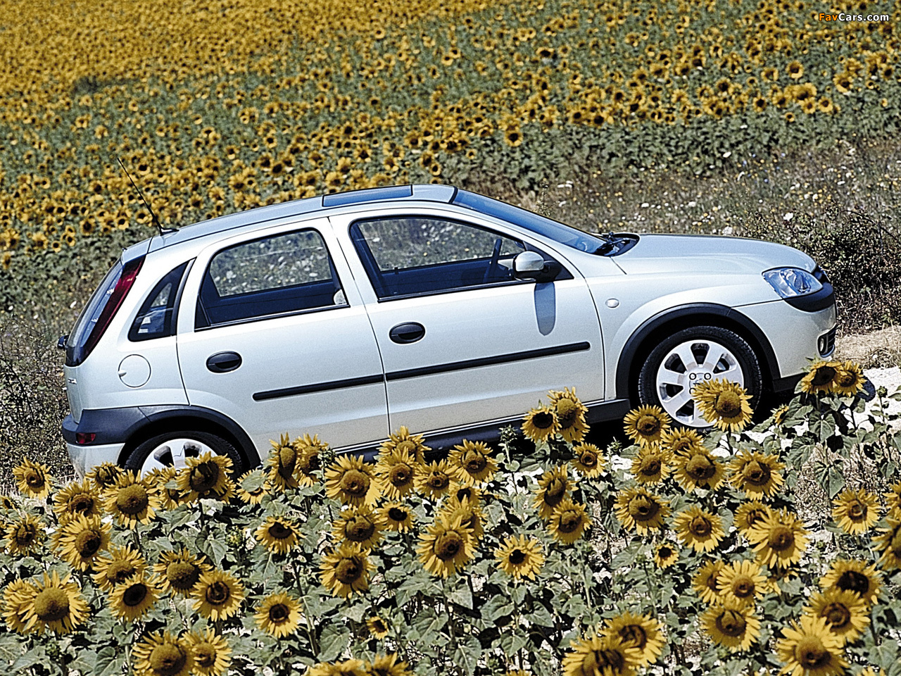 Opel Corsa 5-door (C) 2000–03 pictures (1280 x 960)