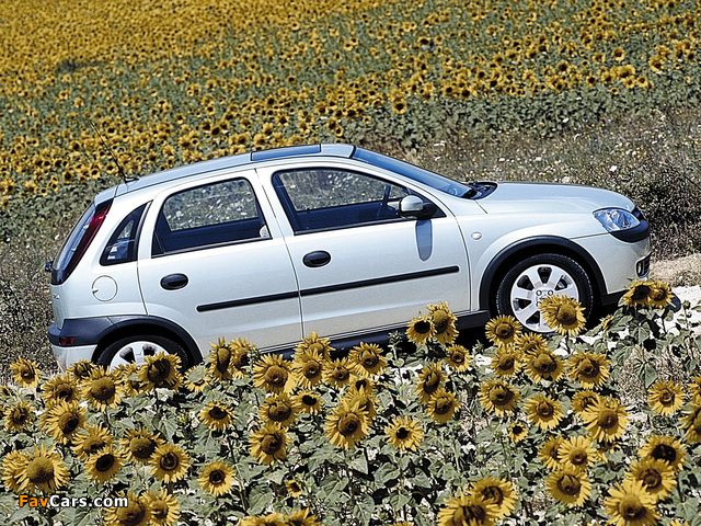 Opel Corsa 5-door (C) 2000–03 pictures (640 x 480)