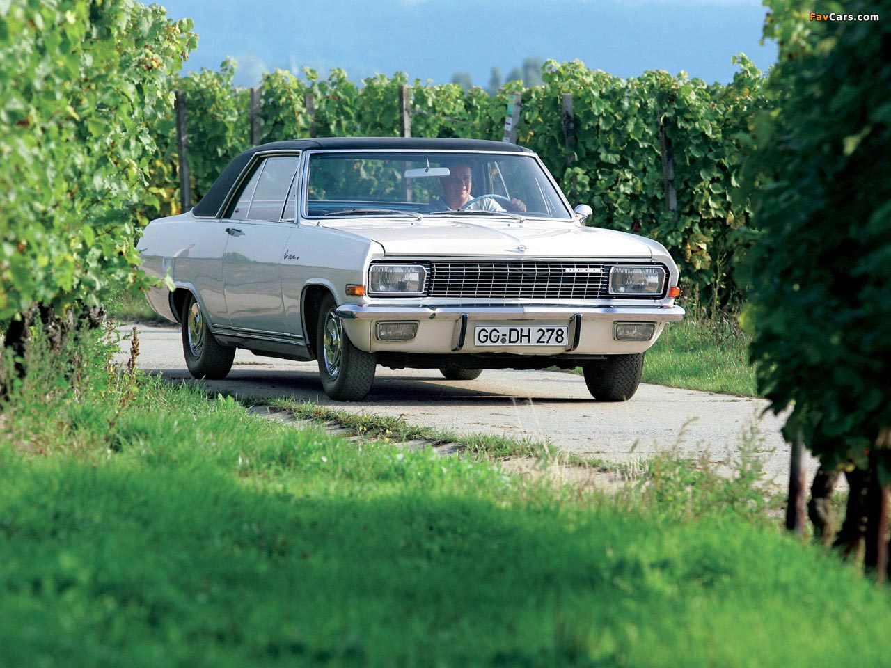 Pictures of Opel Diplomat V8 Coupe (A) 1965–67 (1280 x 960)