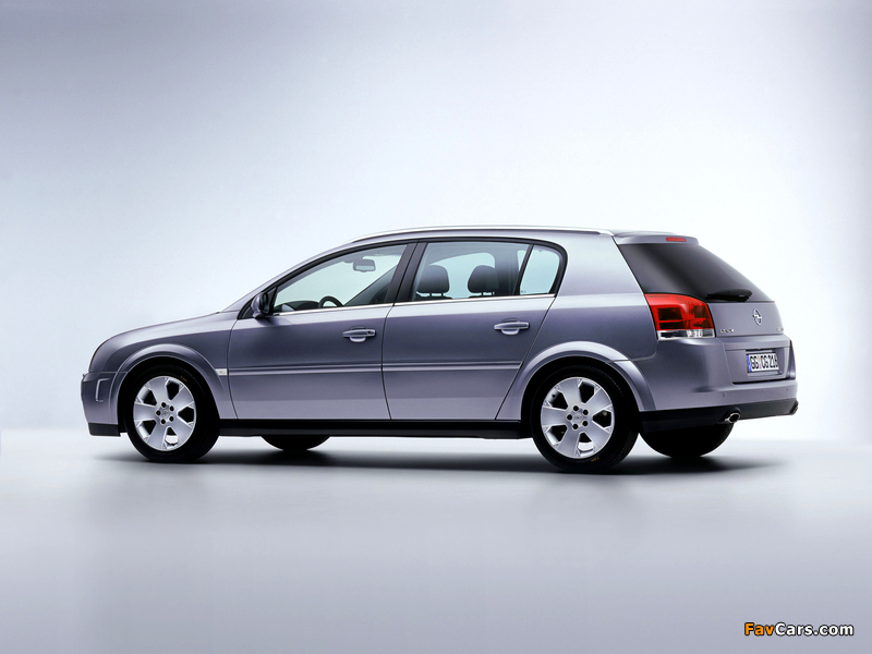 Images of Opel Signum 2003–05 (800 x 600)