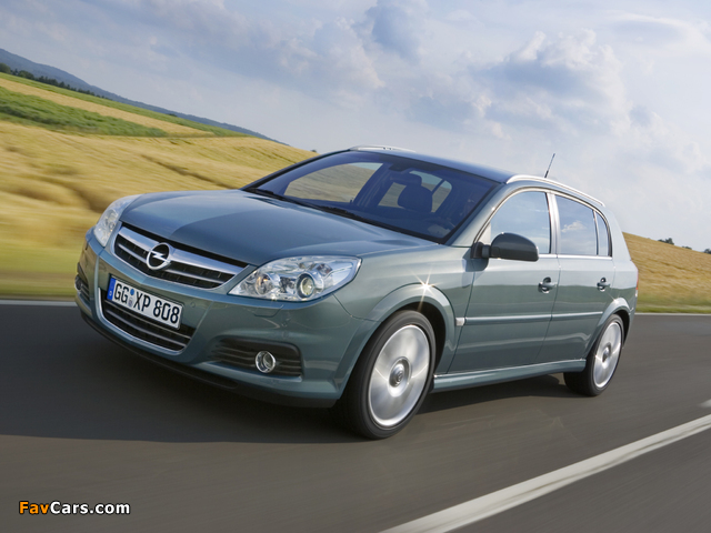 Images of Opel Signum 2006–08 (640 x 480)