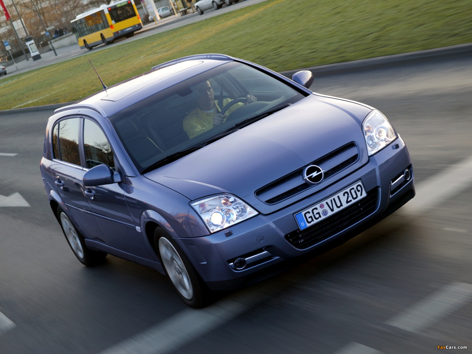Opel Signum 2003–05 photos (1600 x 1200)