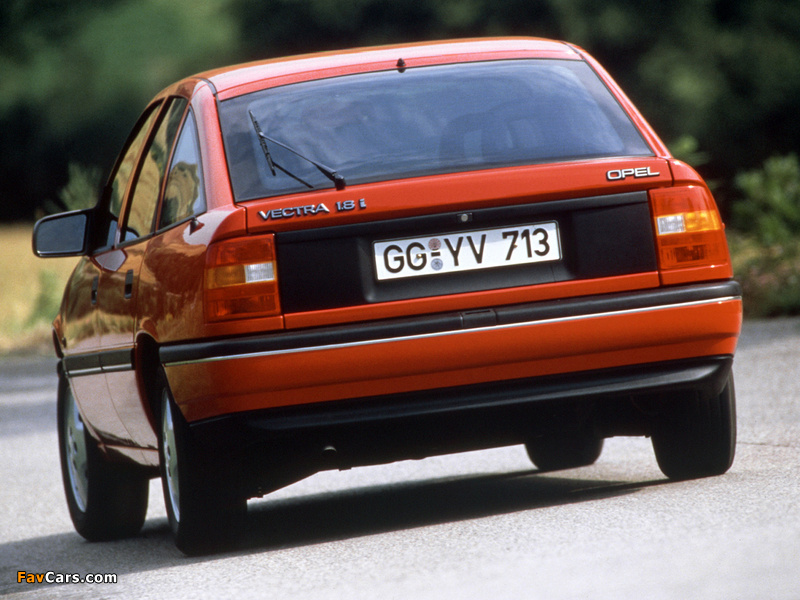 Opel Vectra Hatchback (A) 1988–92 pictures (800 x 600)