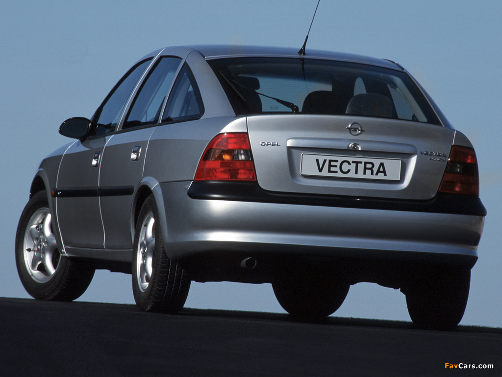 Opel Vectra Hatchback (B) 1995–99 images (1024 x 768)