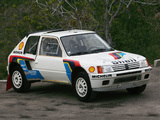Peugeot 205 T16 Rally Car 1984–85 images