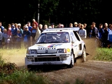 Pictures of Peugeot 205 T16 Rally Car 1984–85