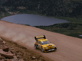 Pictures of Peugeot 205 T16 Pikes Peak 1987