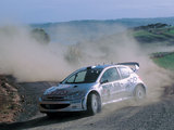 Peugeot 206 WRC 1999–2003 photos