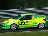 Pictures of Peugeot 206 RCC 2005