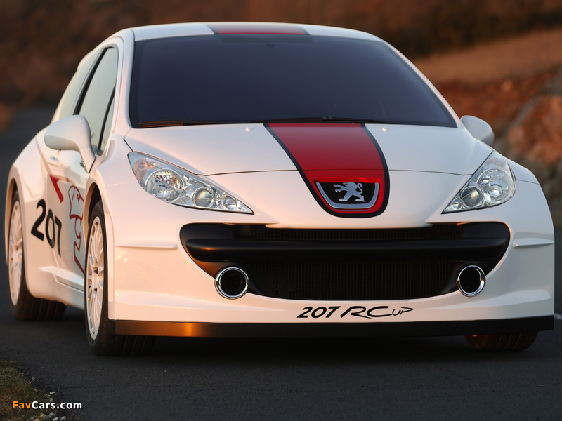 Images of Peugeot 207 RCup Concept 2006 (800 x 600)