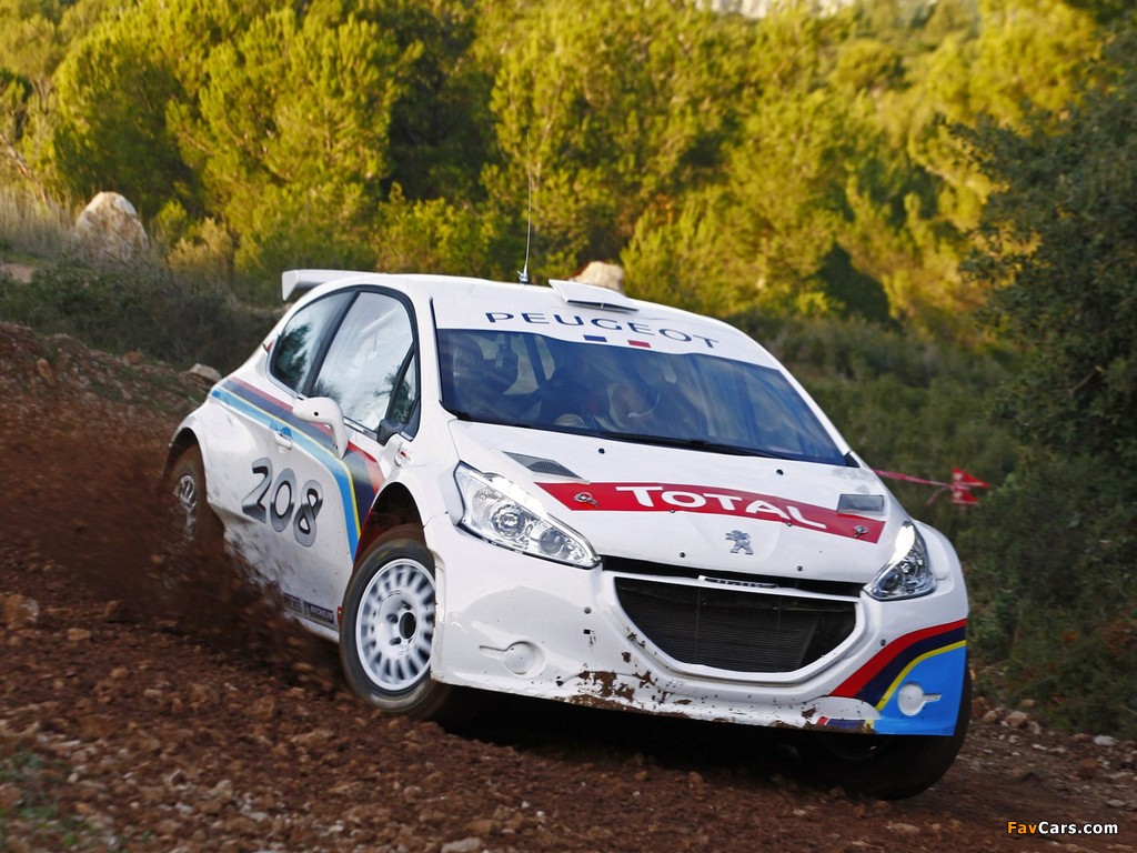 Peugeot 208 Type R5 2013 pictures (1024 x 768)