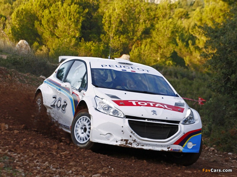 Peugeot 208 Type R5 2013 pictures (800 x 600)