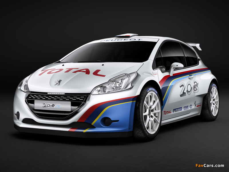 Pictures of Peugeot 208 Type R5 2013 (800 x 600)