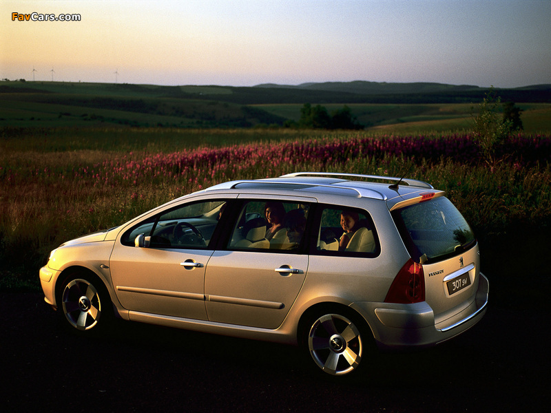 Peugeot 307 SW Concept 2001 images (800 x 600)