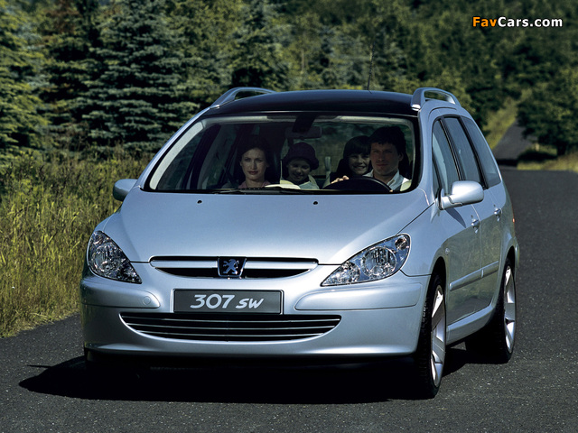 Pictures of Peugeot 307 SW Concept 2001 (640 x 480)