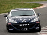Images of Peugeot RCZ Race Car 200ANS 2010