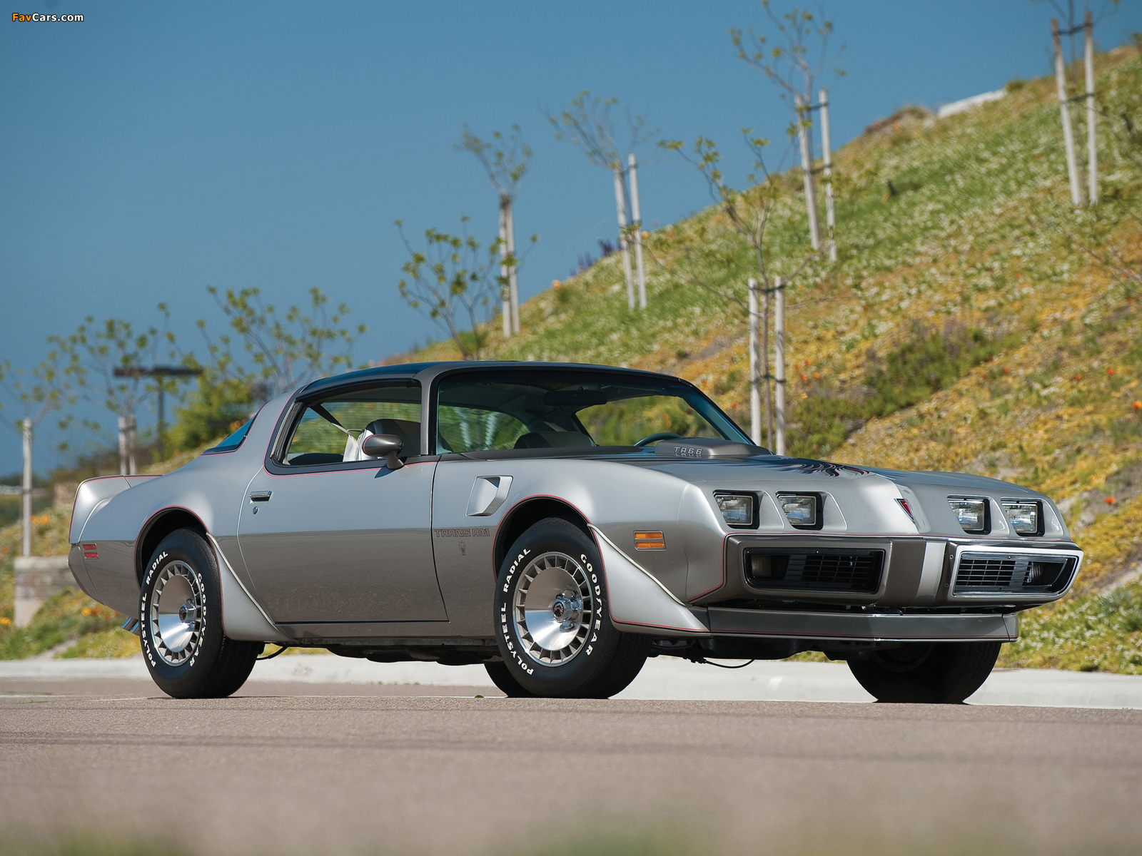 Pictures of Pontiac Firebird Trans Am T/A 6.6 L78 10th Anniversary 1979 (1600 x 1200)