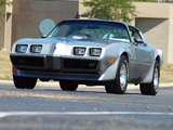 Pictures of Pontiac Firebird Trans Am T/A 6.6 L78 10th Anniversary 1979