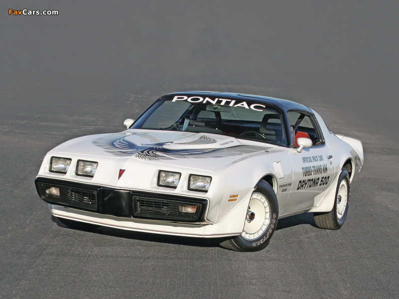 Pictures of Pontiac Firebird Trans Am Turbo Pace Car 1981 (800 x 600)