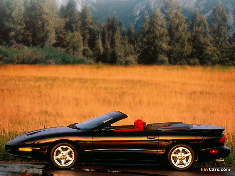 Pictures of Pontiac Firebird Convertible 1993–97 (800 x 600)