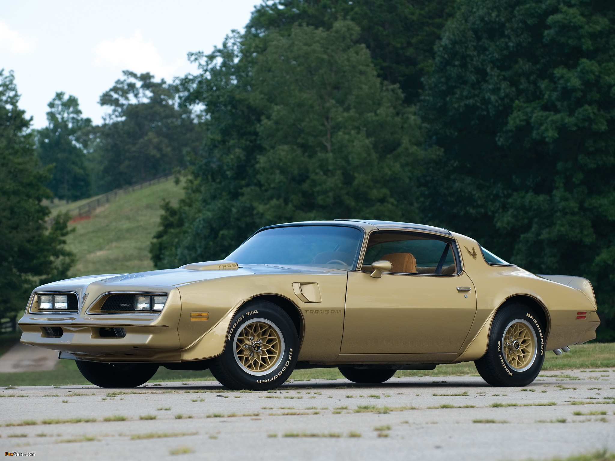 1978 Pontiac Firebird Trans AM Gold