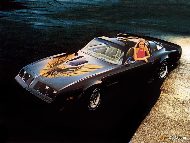 Pontiac Firebird Trans Am T/A 6.6 L78 T-Top 1979 wallpapers (800 x 600)