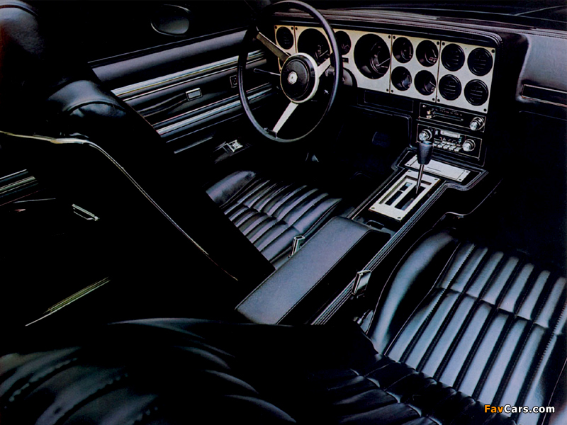 Photos of Pontiac Grand Am Coupe 1978–80 (800 x 600)