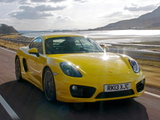 Pictures of Porsche Cayman S UK-spec (981C) 2013