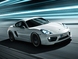 Pictures of TechArt Porsche Cayman (981C) 2013