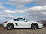Pictures of Porsche Cayman UK-spec (981C) 2013