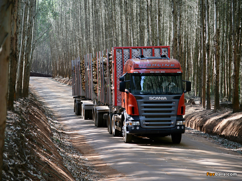 Photos of Scania R500 6x2 Highline Timber Truck 2004–09 (800 x 600)