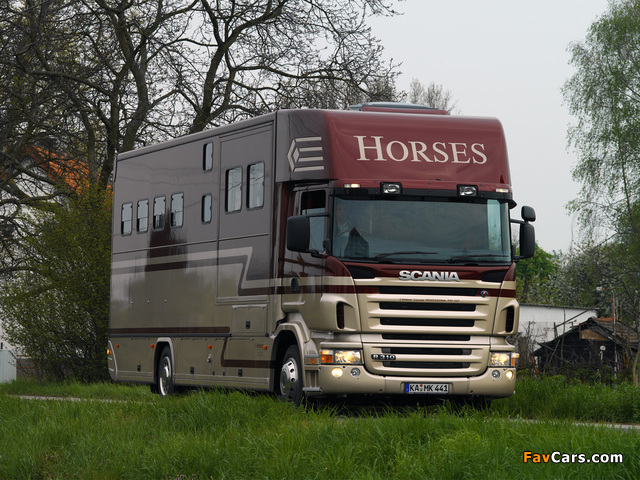 Pictures of Scania R310 4x2 Horsebox 2004–09 (640 x 480)