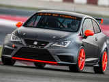 Seat Ibiza SC Trophy 2012 pictures