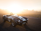 Images of Shelby Cobra 289 (CSX 2473) 1964