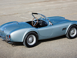 Images of Shelby Cobra 289 (CSX 2411) 1964