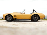 Images of Shelby Cobra 427 S/C Competition (MkIII) 1965