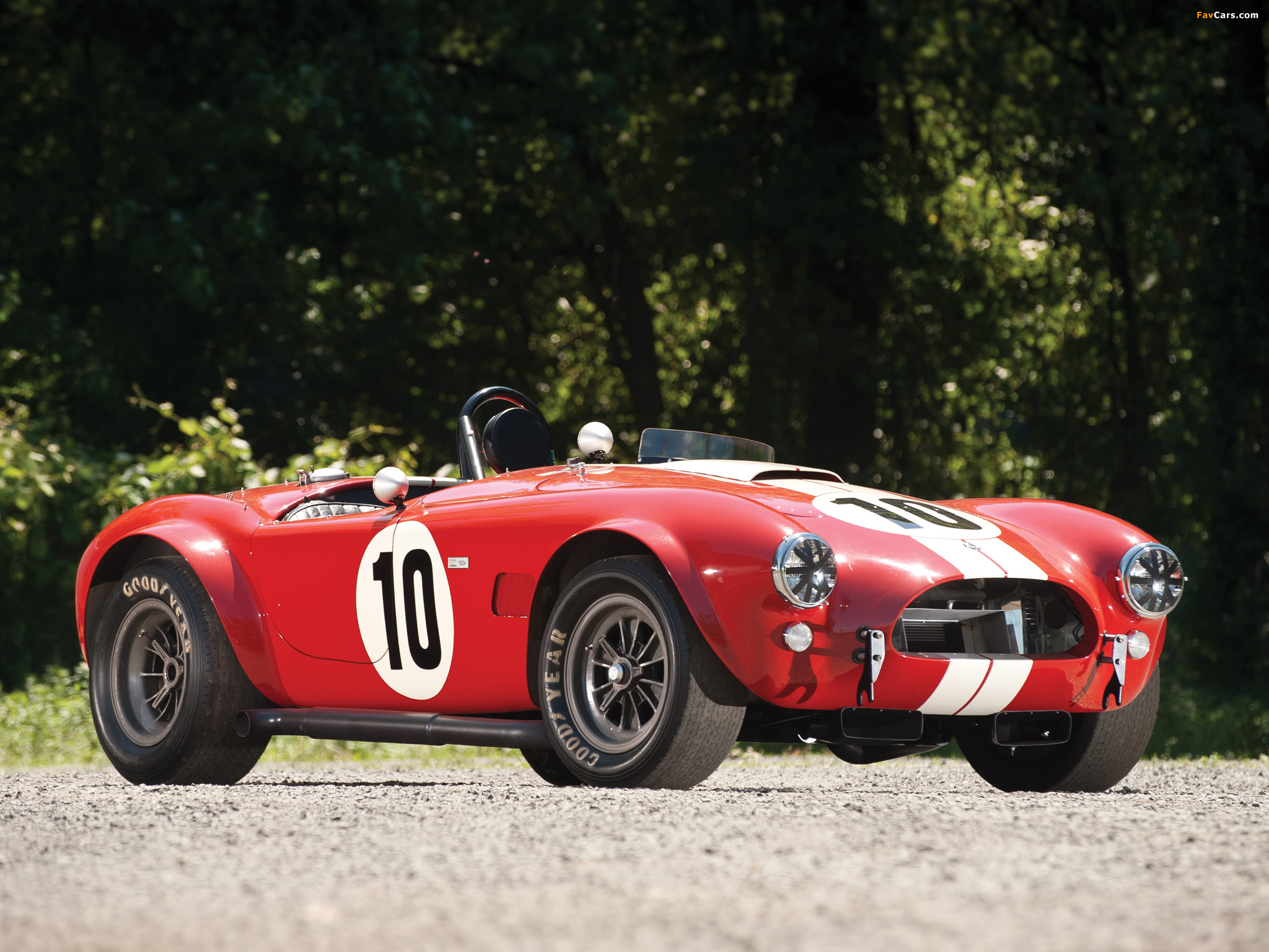 Pictures of Shelby Cobra Competition Roadster 1964 (2048 x 1536)