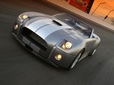 Shelby Cobra Concept 2004 pictures