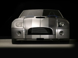Shelby Cobra Concept 2004 wallpapers