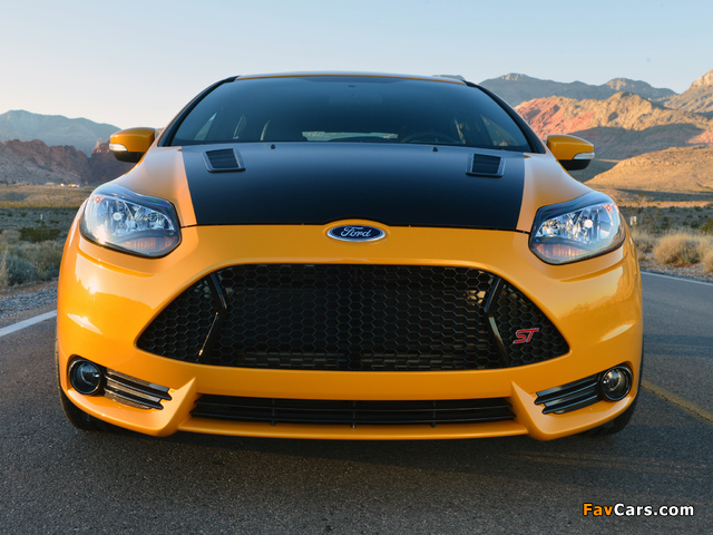 Images of Shelby Focus ST 2013 (640 x 480)