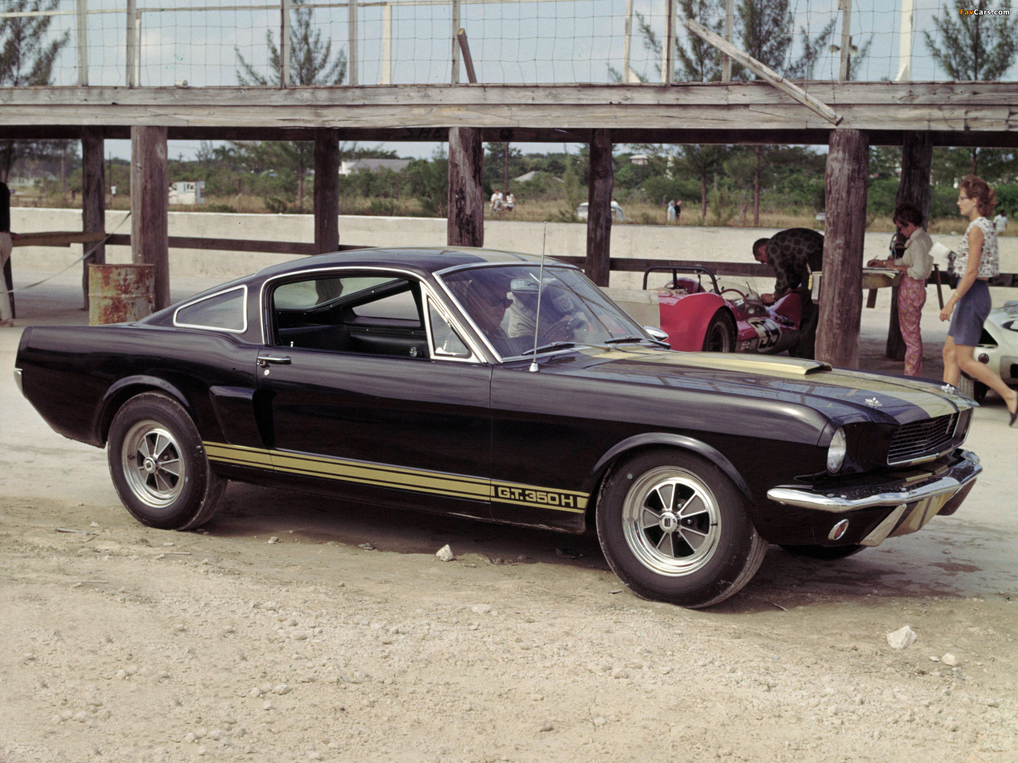 Photos of Shelby GT350H 1966 (2048 x 1536)