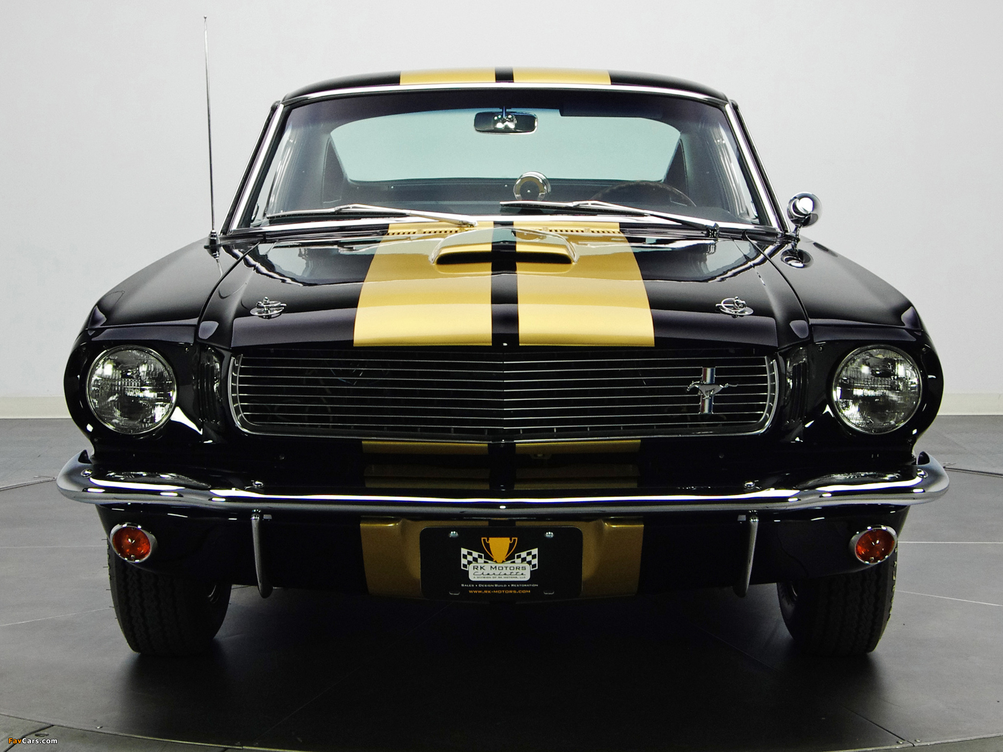 Pictures of Shelby GT350H 1966 (2048 x 1536)