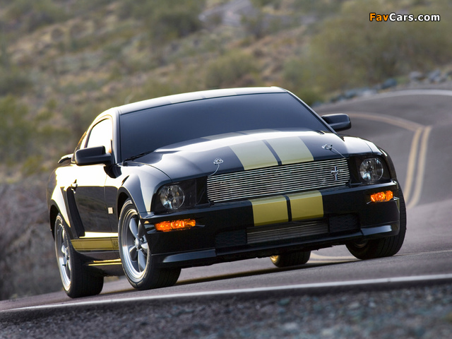 Pictures of Shelby GT-H 2006 (640 x 480)
