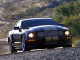 Shelby GT-H 2006 photos