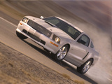 Photos of Shelby GT 2007