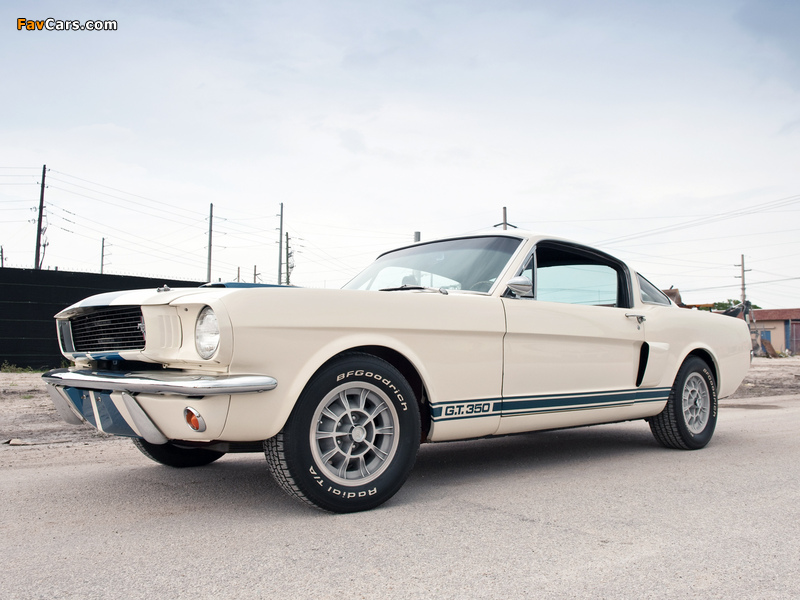 Images of Shelby GT350 1966 (800 x 600)