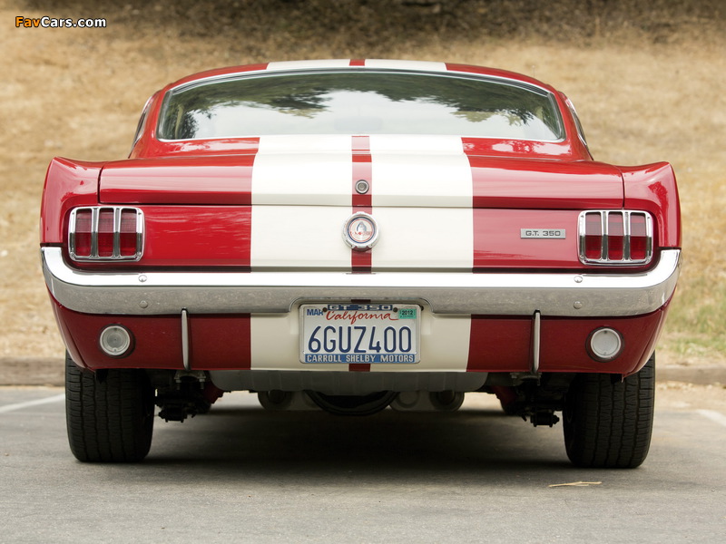 Photos of Shelby GT350 1966 (800 x 600)