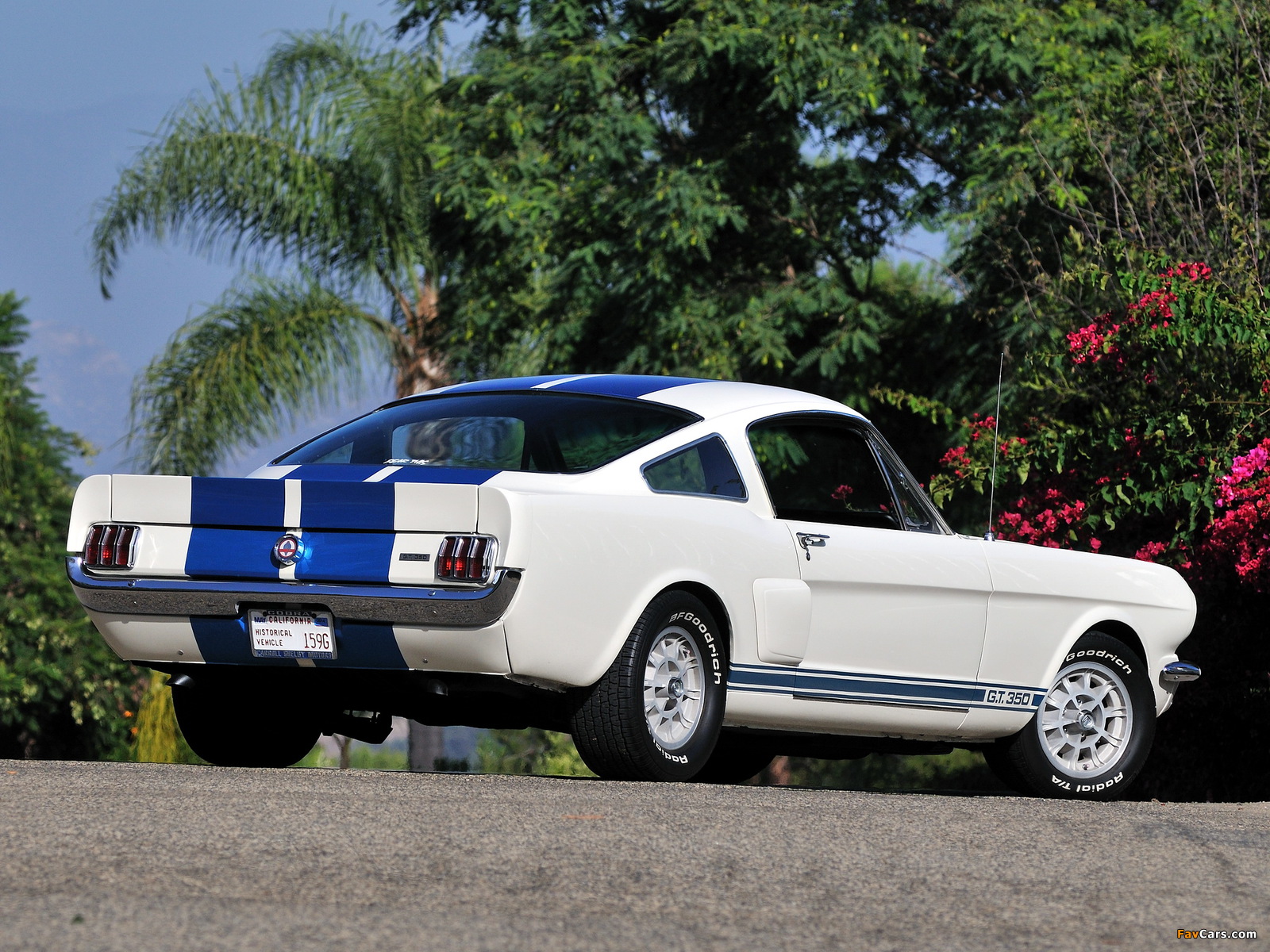 Photos of Shelby GT350 1966 (1600 x 1200)