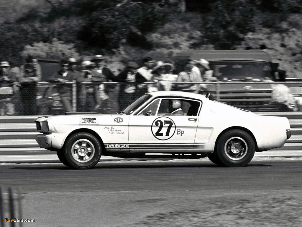 Pictures of Shelby GT350R 1965 (1024 x 768)